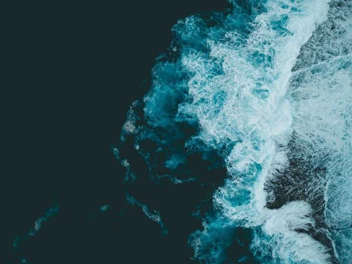 The Impact Authenticity Score (IAS)