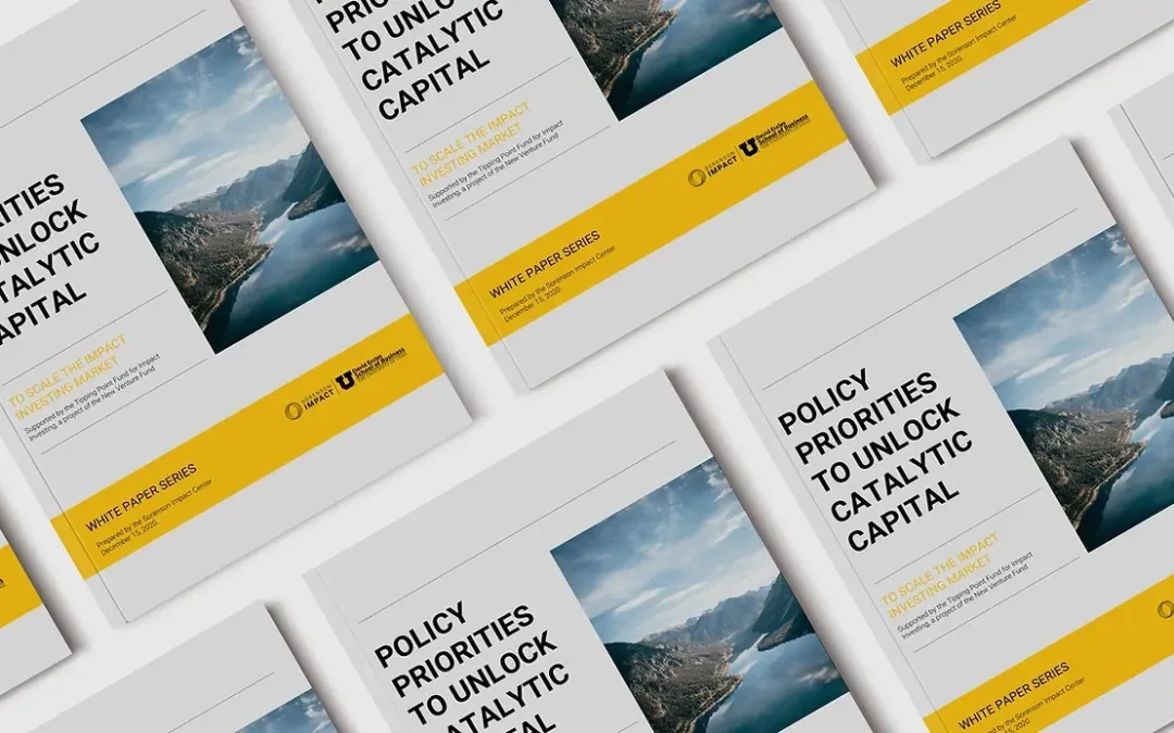 Policy Priorities to Unlock Catalytic Capital