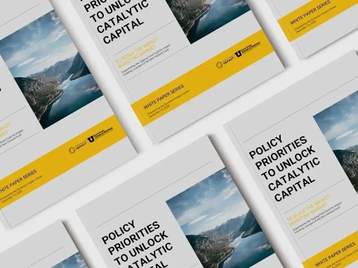 Policy Priorities to Unlock Catalytic Capital