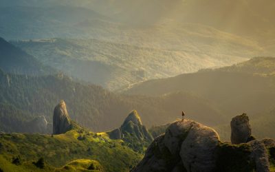 Expanding The Market For Nature-Based Solutions