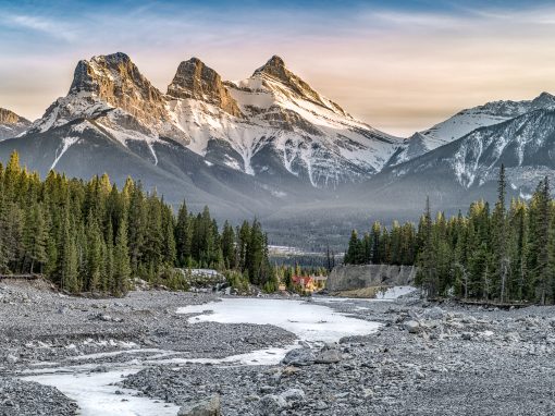 Beyond Carbon: Identifying the Family Forest Carbon Program’s Value